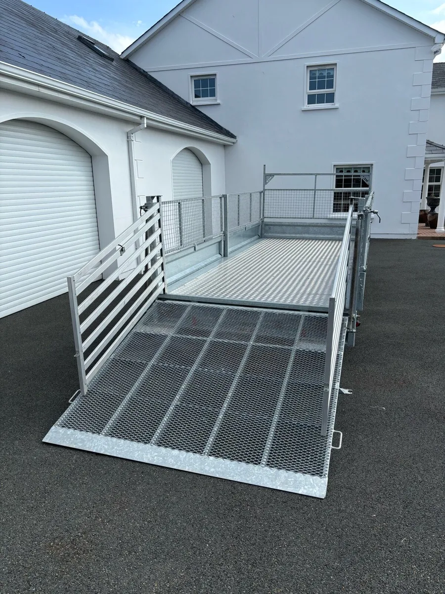 16ft tri axle trailer with lots of extras - Image 3