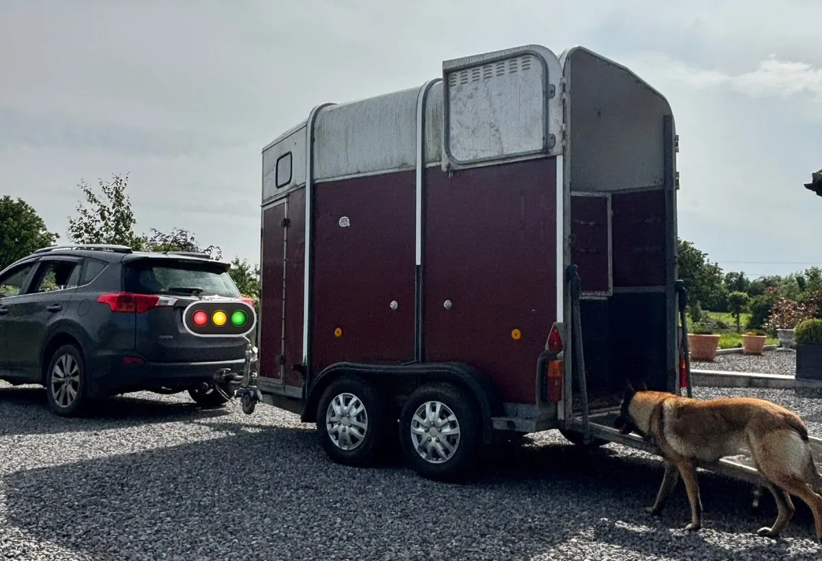 Horse Box - Image 3
