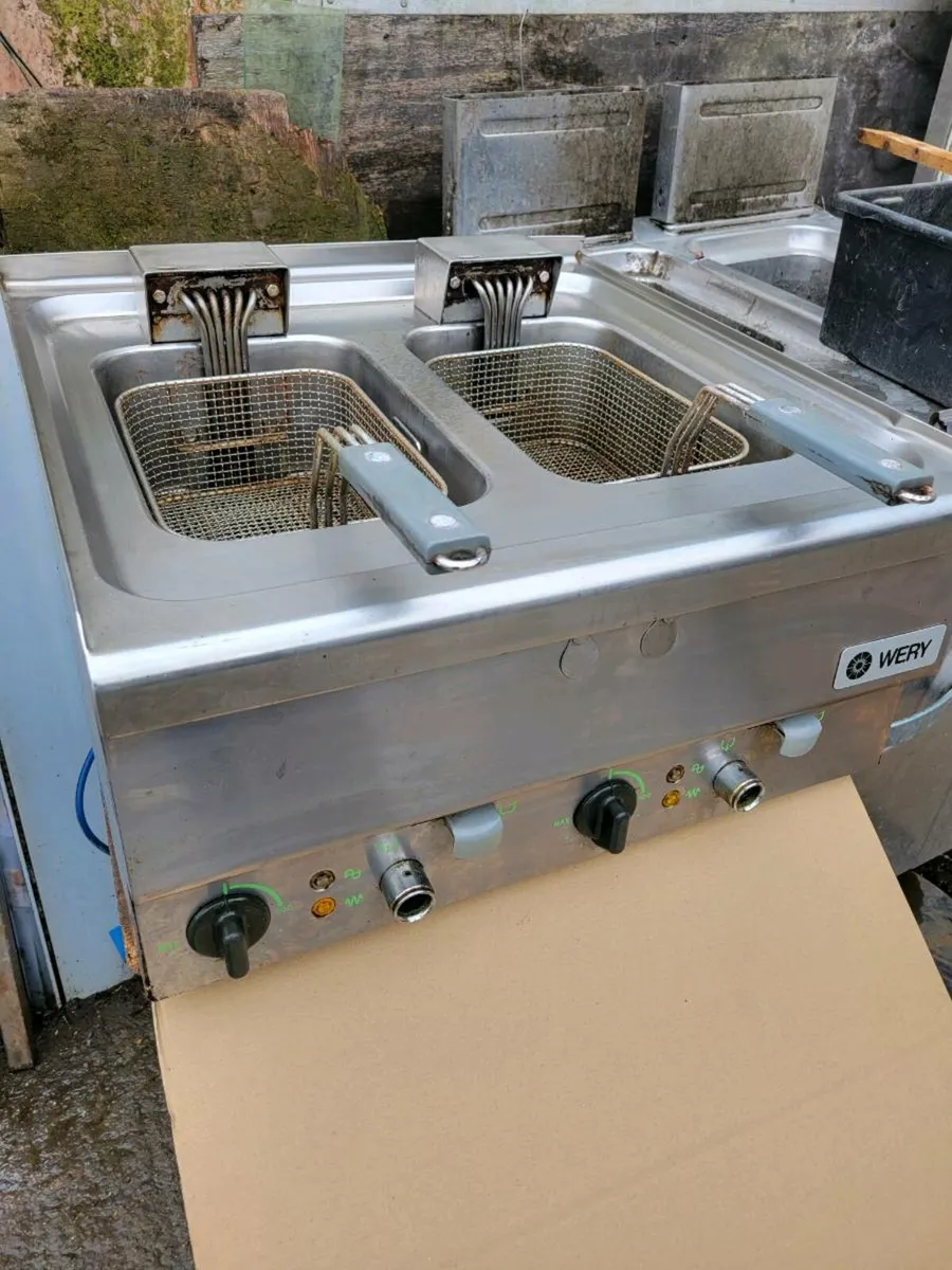 Fryer Electric Twin Tank WERY 12KW - Image 2