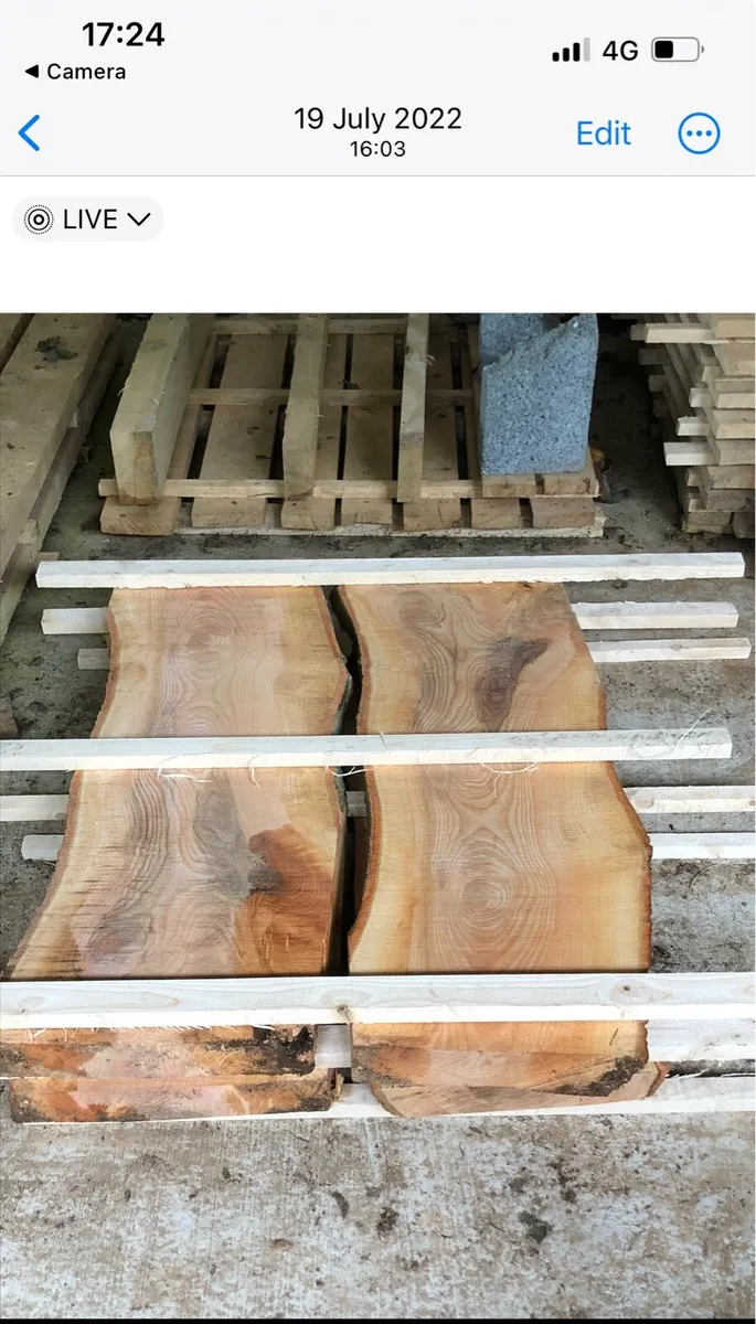 Ash slabs - Image 1