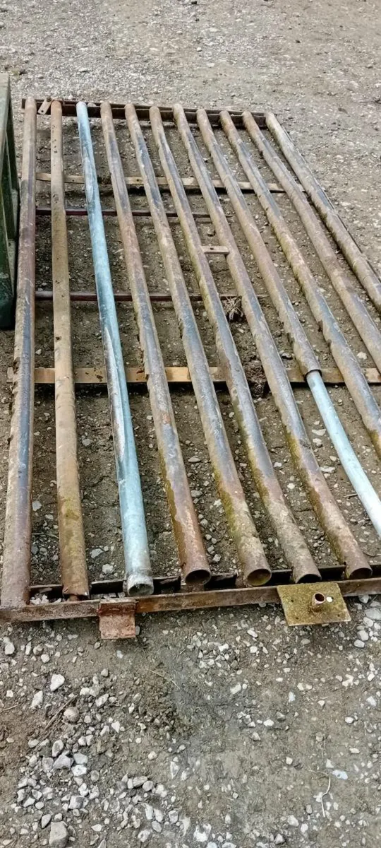 Cattle grid - Image 1