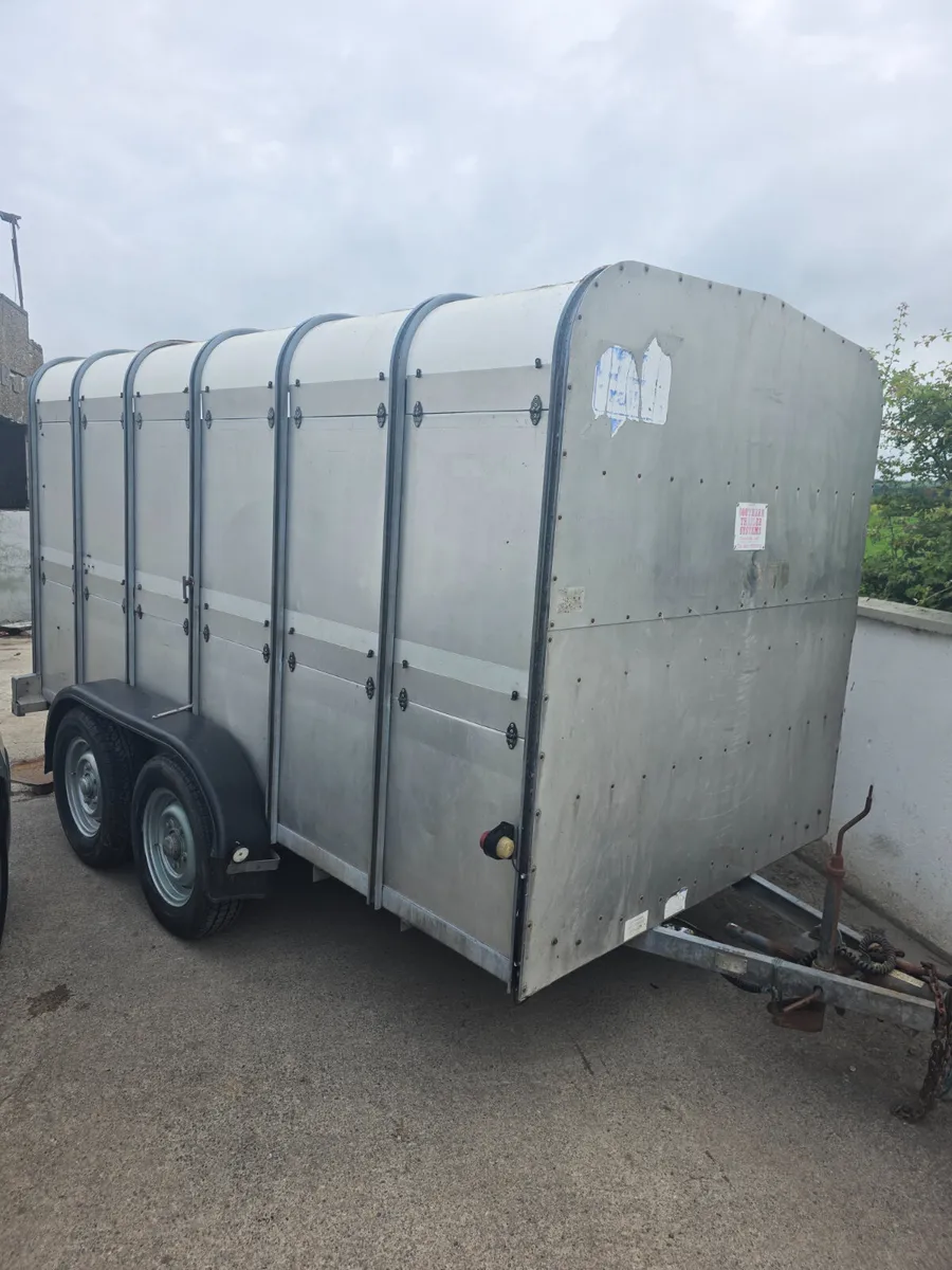 12ft ifor Williams livestock trailer - Image 1