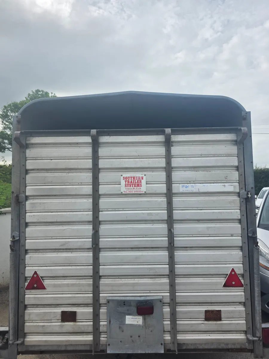 12ft ifor Williams livestock trailer - Image 3