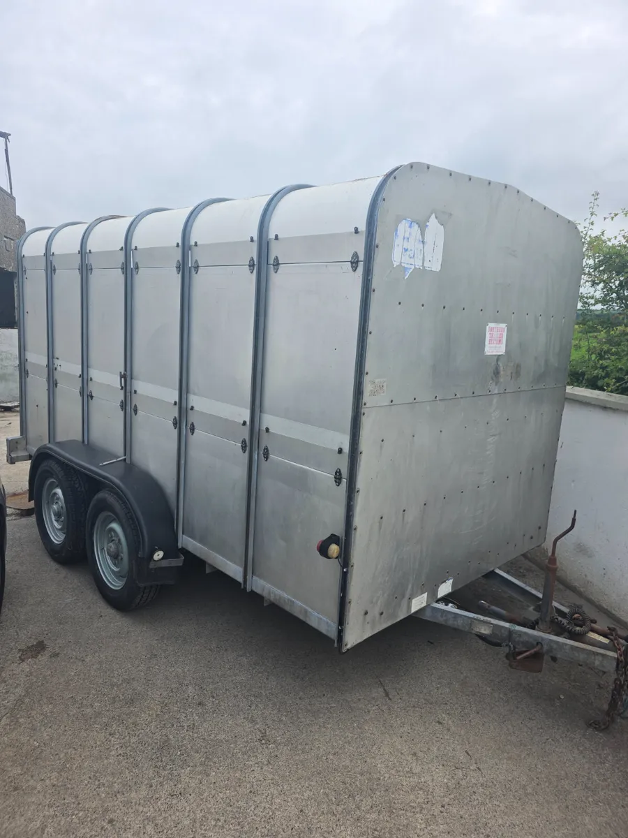12ft ifor Williams livestock trailer - Image 2