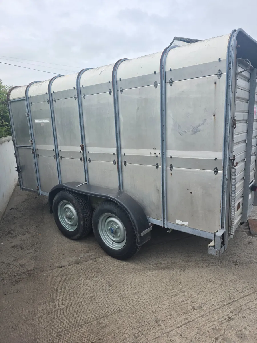 12ft ifor Williams livestock trailer - Image 4
