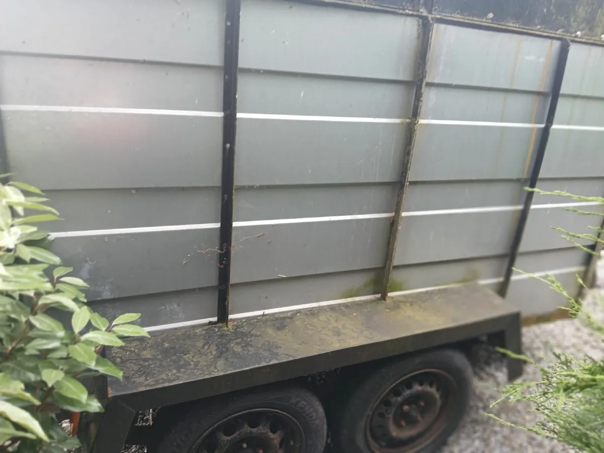 8 x 5 livestock trailer - Image 2