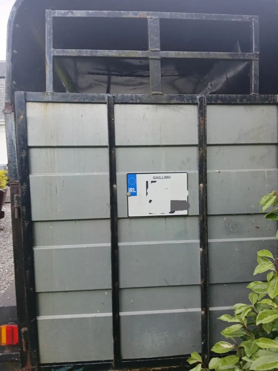 8 x 5 livestock trailer - Image 3