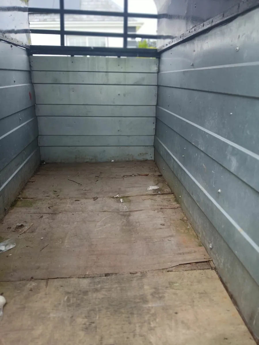 8 x 5 livestock trailer - Image 4