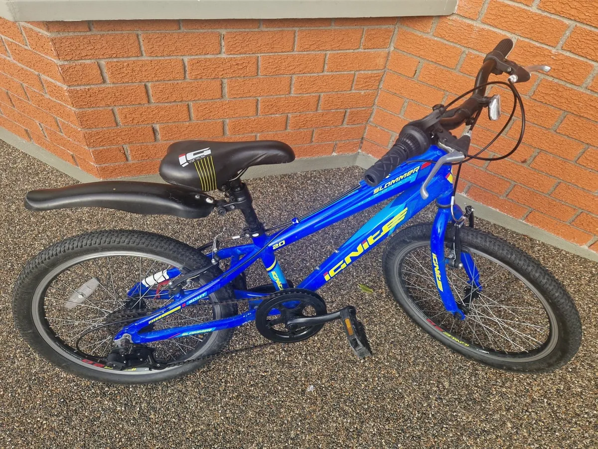 Kids Bicycle 20 inch recently setviced ready to go - Image 3