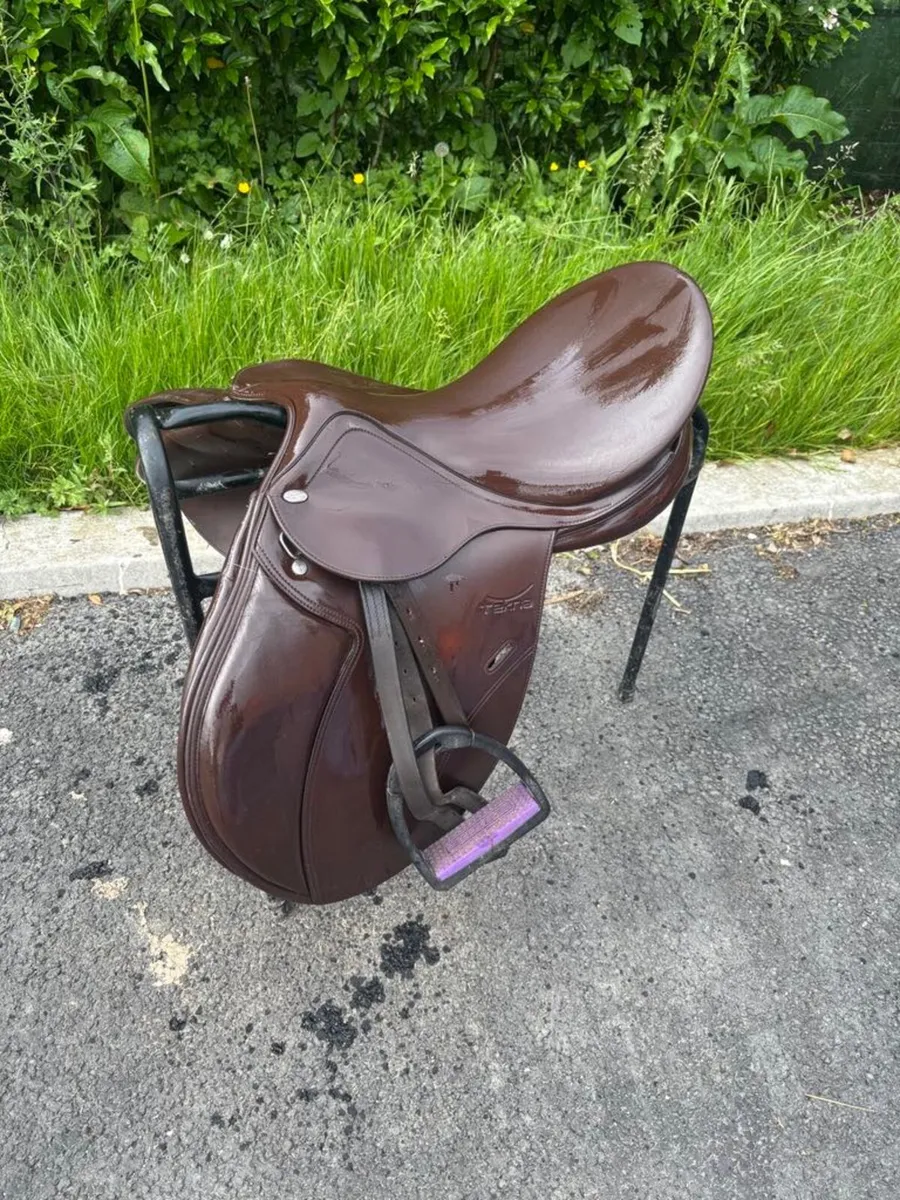 Horse saddle size 16 inch  & Cob bridle - Image 3