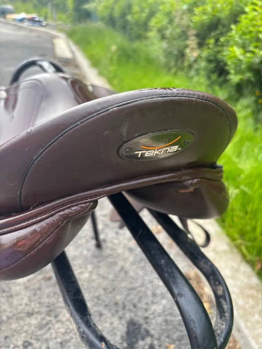 Horse saddle size 16 inch  & Cob bridle - Image 4