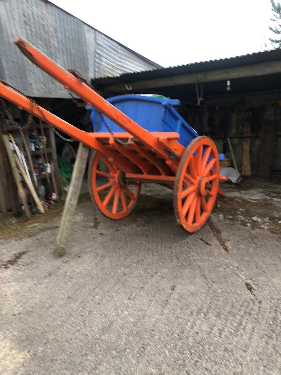 Carts and harness - Image 2