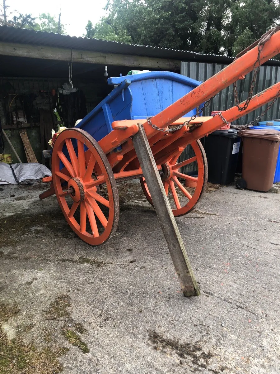 Carts and harness - Image 1