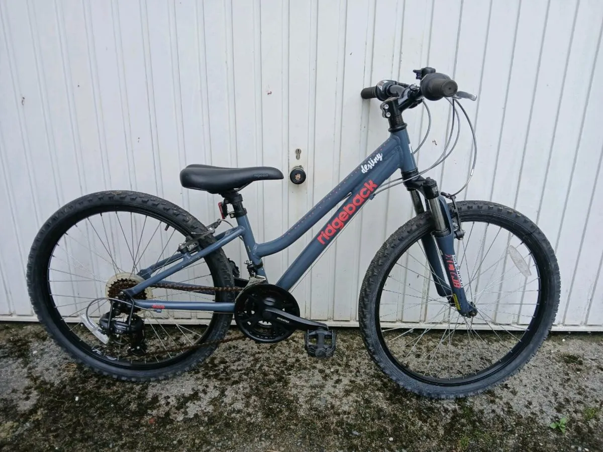 Large selection Kids & adults bikes all sizes - Image 3
