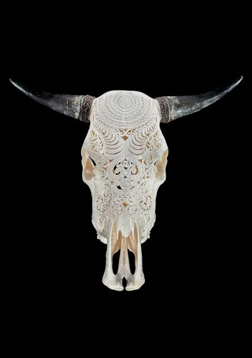 Authentic Hand Carved White Cow Skull -  Bone - Image 1