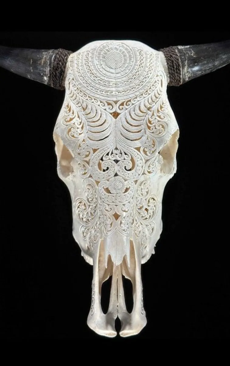 Authentic Hand Carved White Cow Skull -  Bone - Image 2