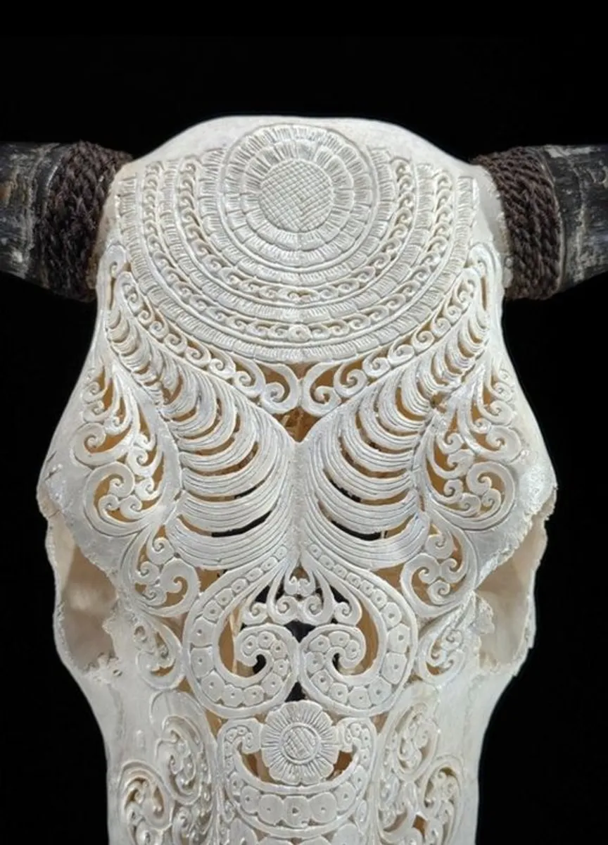 Authentic Hand Carved White Cow Skull -  Bone - Image 3