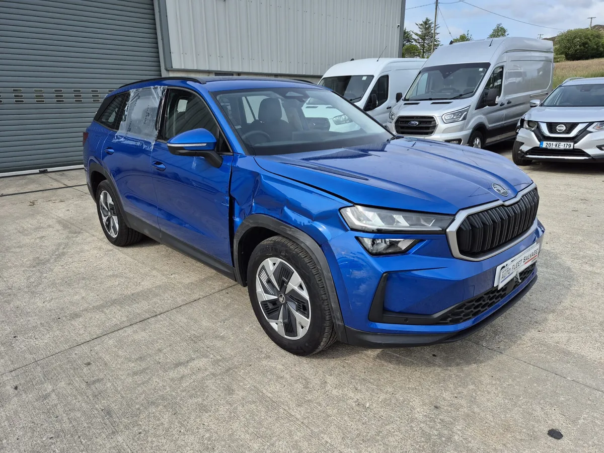 DEC 2024 SKODA KODIAQ SE 2.0 TDI DSG - Image 1
