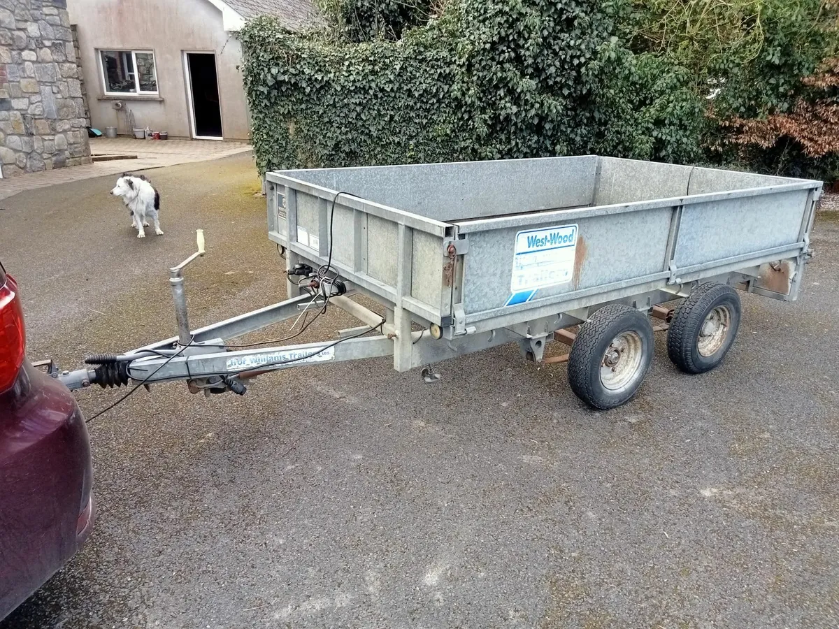 Trailer Ifor Williams 8x5Lt - Image 2