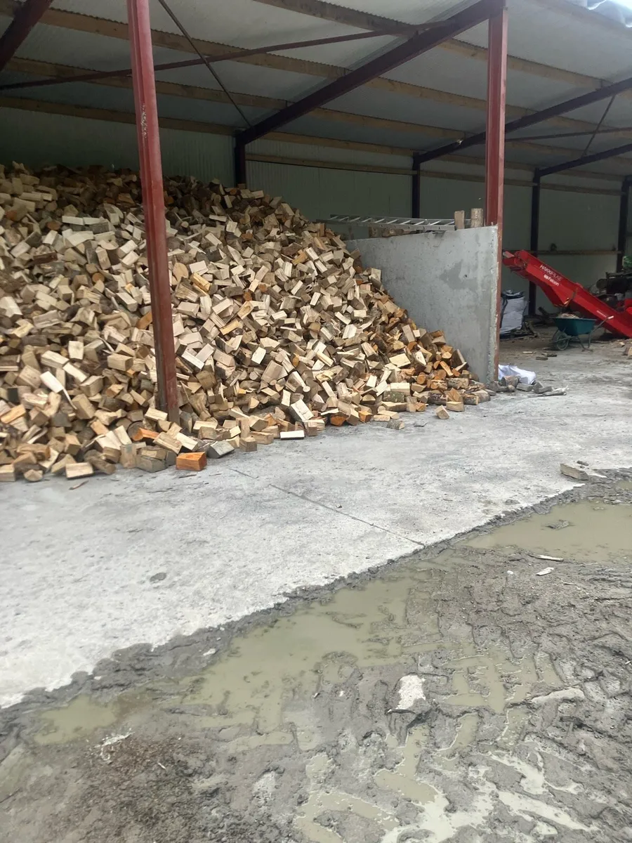 Kindling - Image 4