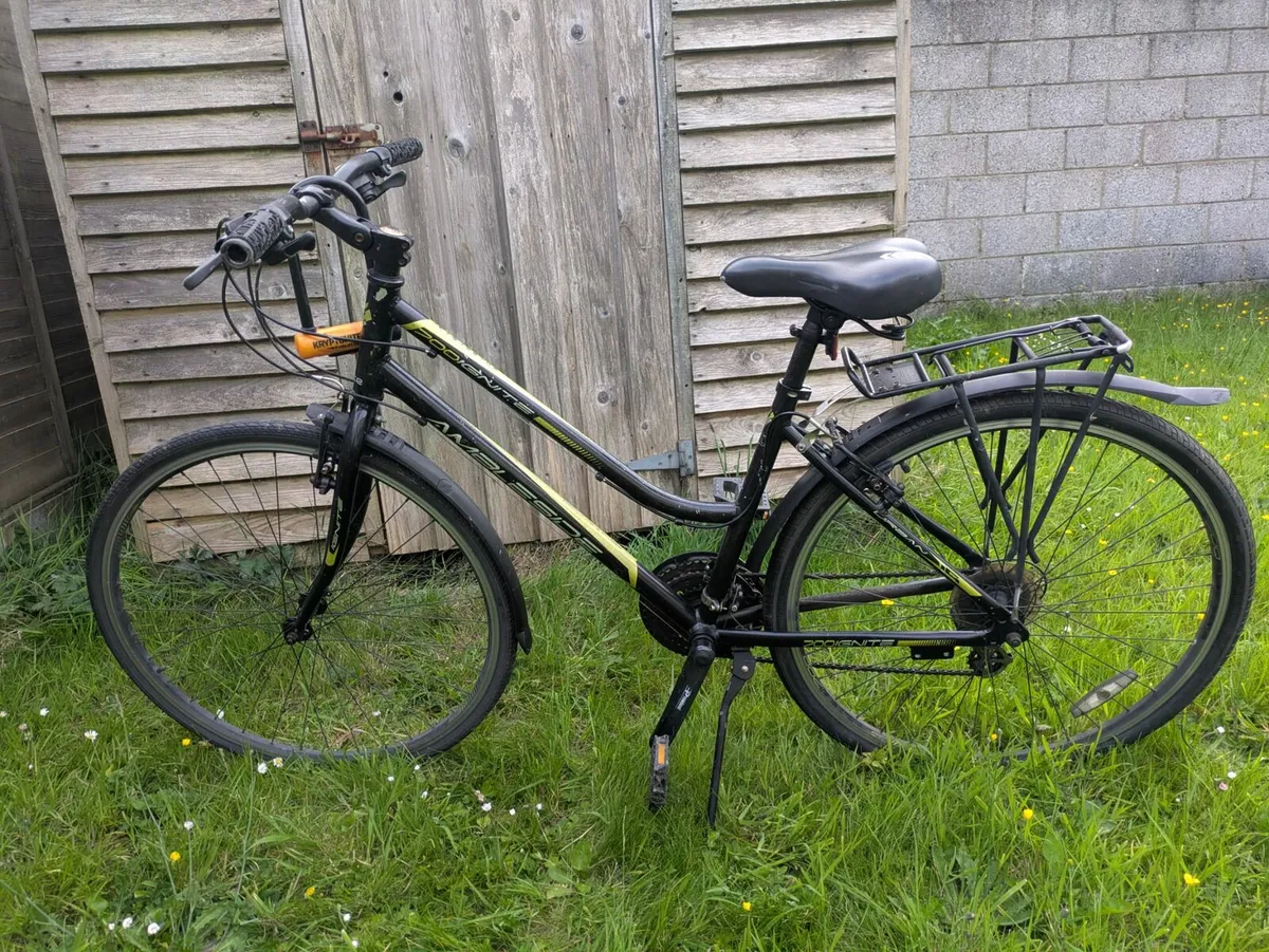 Bike + kryptonite locker - Image 1