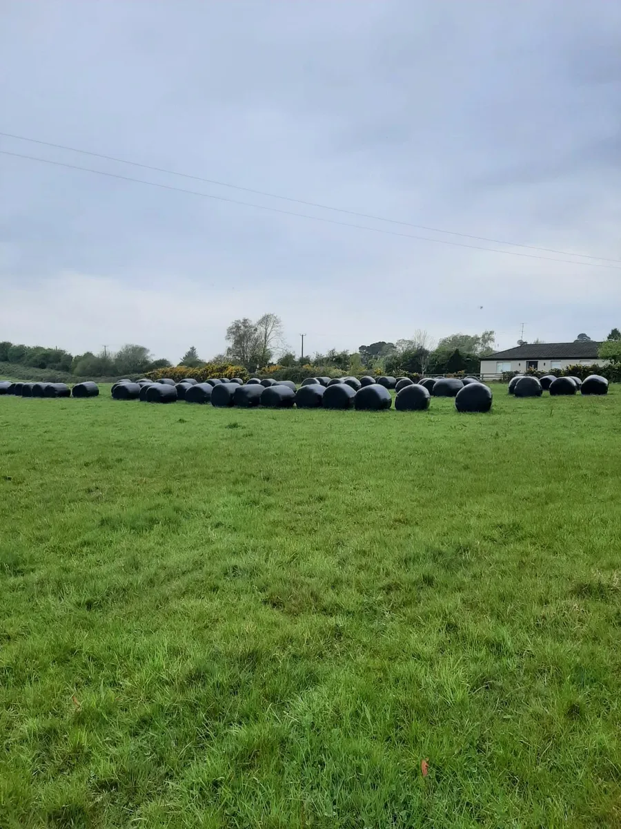 Silage for Sale - Image 1