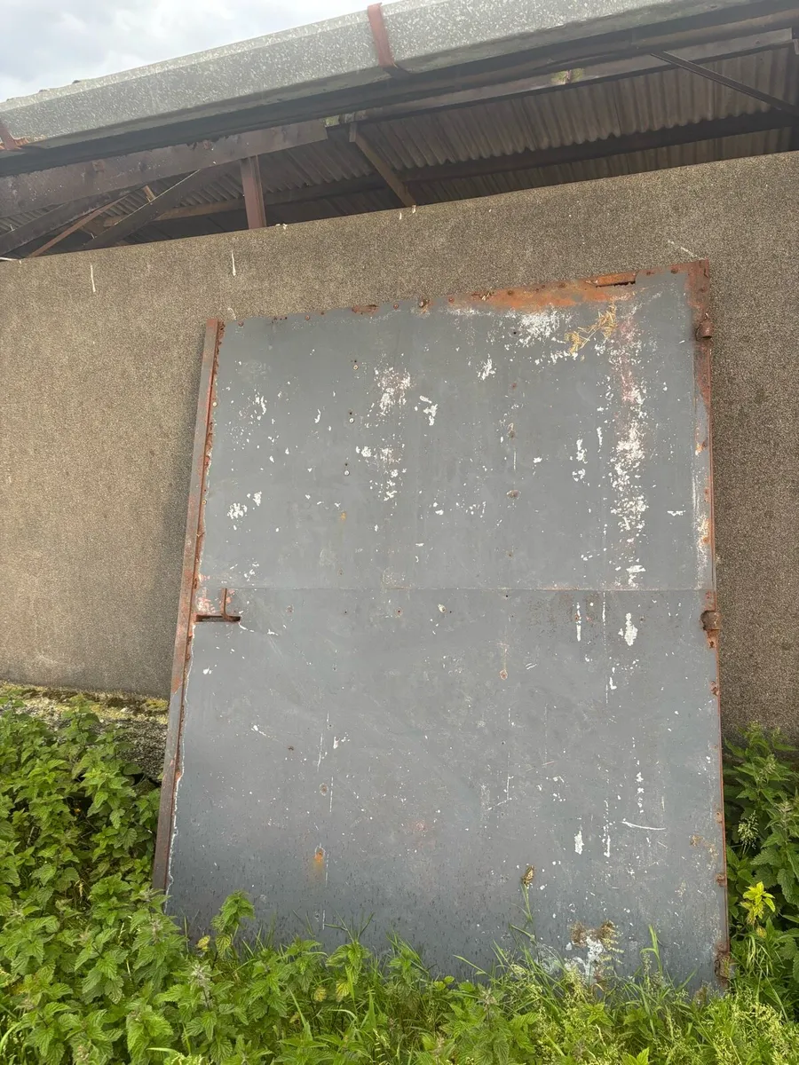 2 shed doors - Image 2