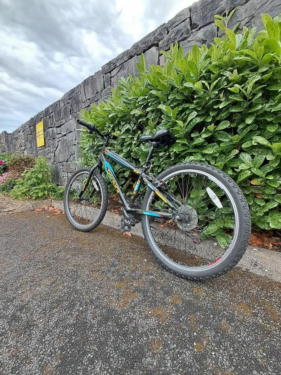 Bike - Image 4
