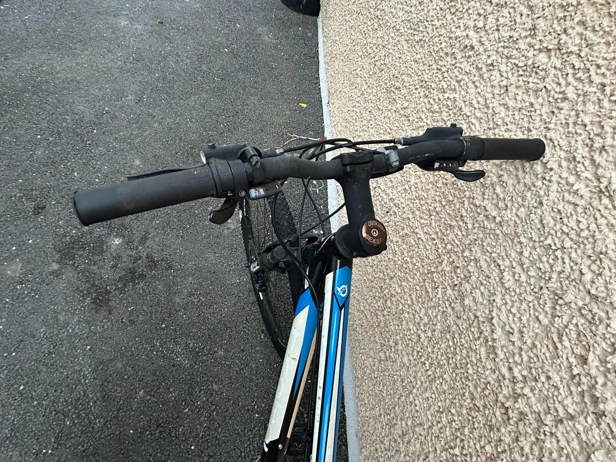 Bentini mountain bike - Image 2