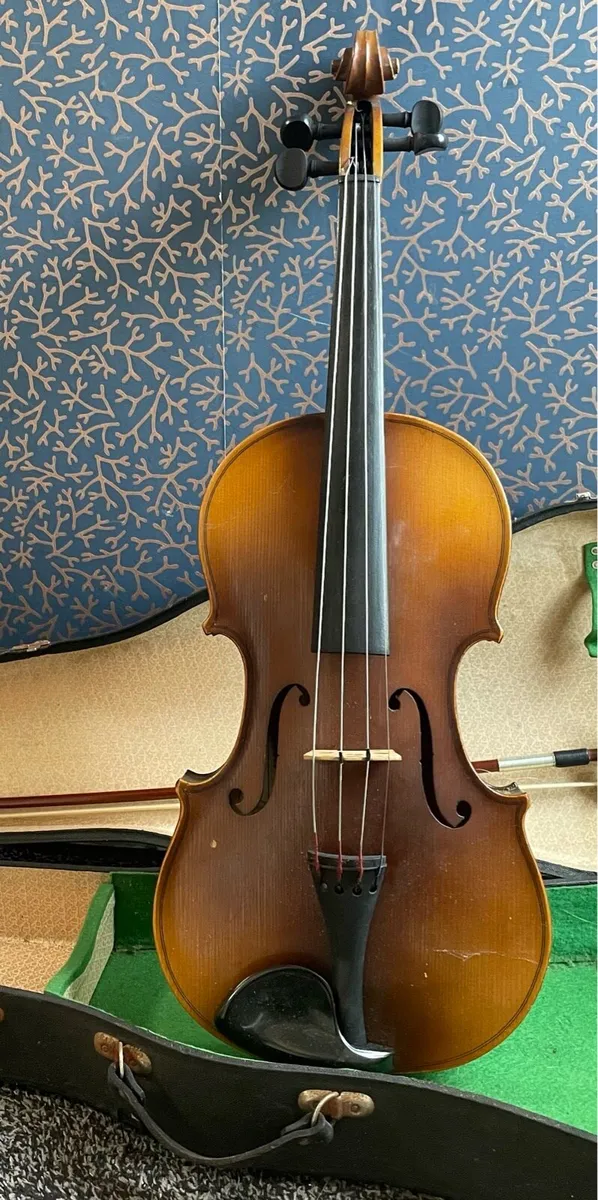Viola - Image 1