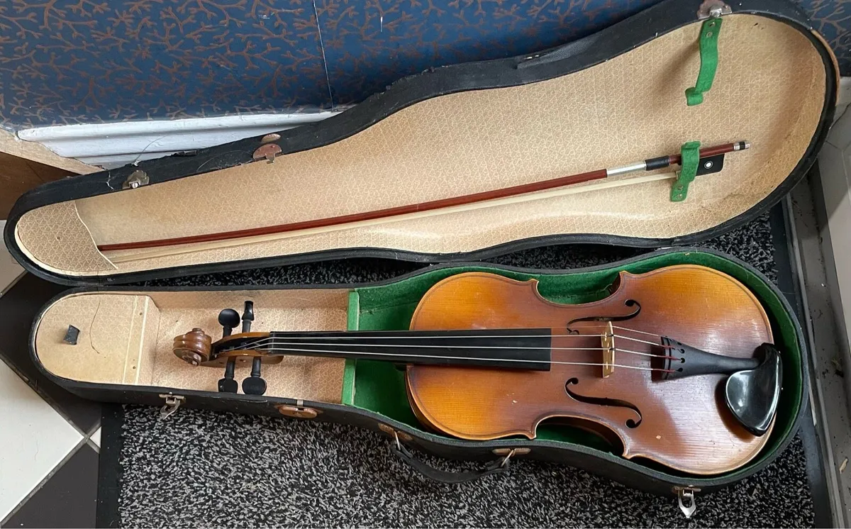 Viola - Image 2