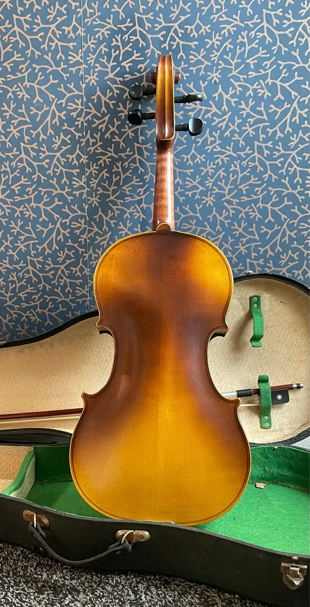 Viola - Image 3