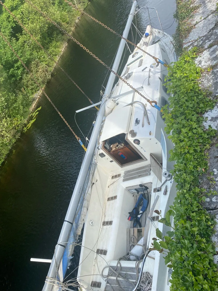 Westerly centuar - Image 1