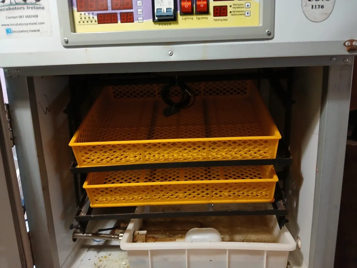 Egg incubator - Image 1