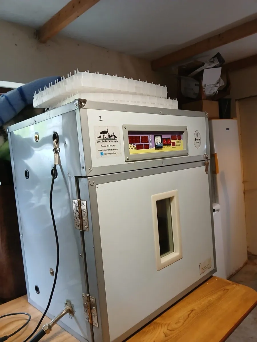 Egg incubator - Image 2