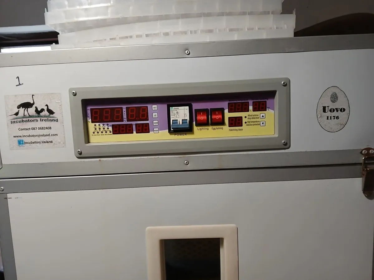 Egg incubator - Image 3