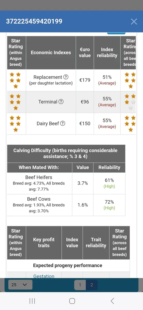 Pedigree Aberdeen Angus Bull 5 star - Image 4
