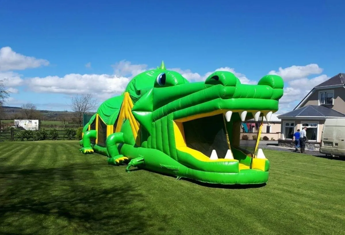 bouncy castle bounceing castle - Image 1