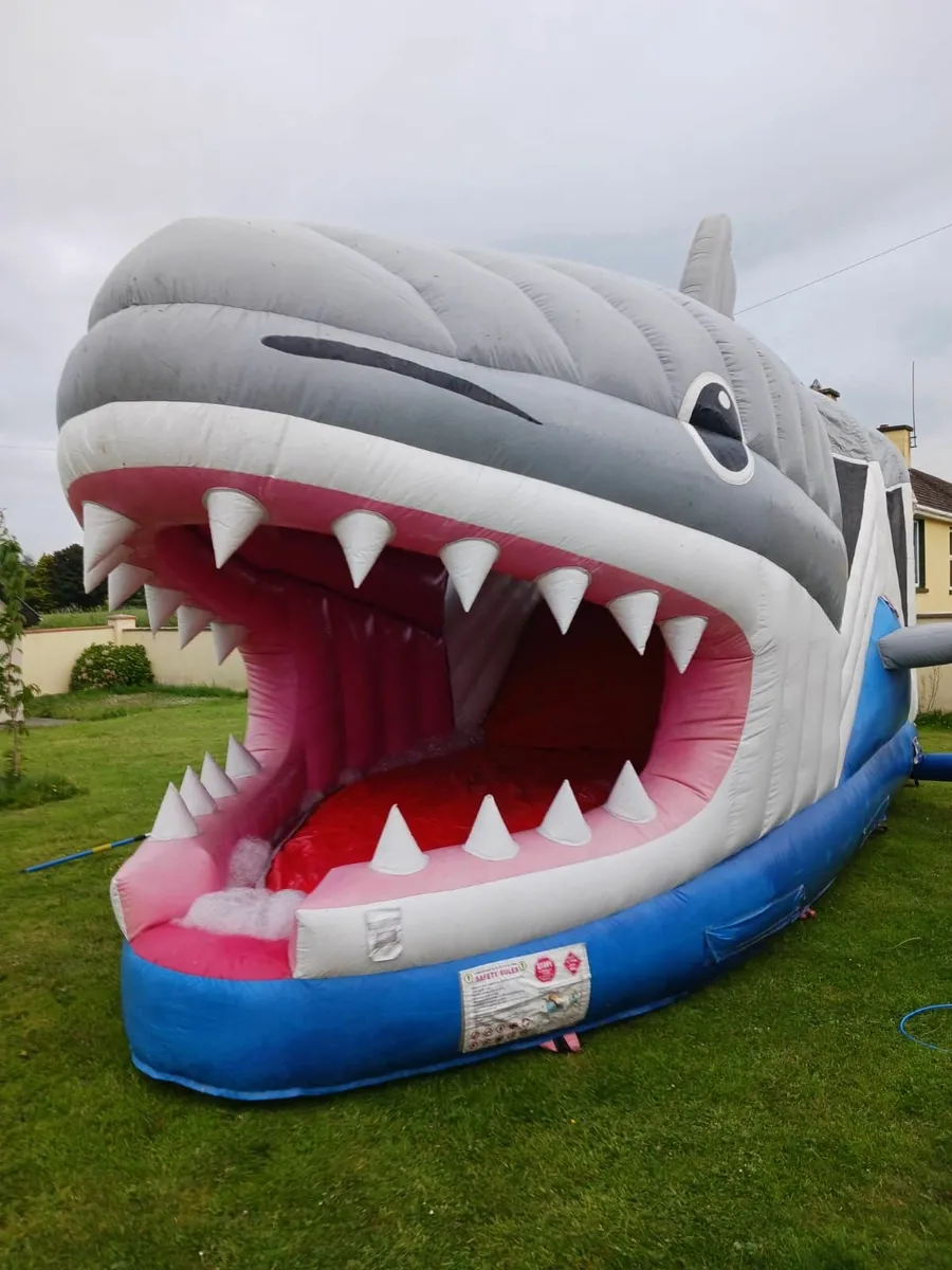 bouncy castle bounceing castle - Image 2