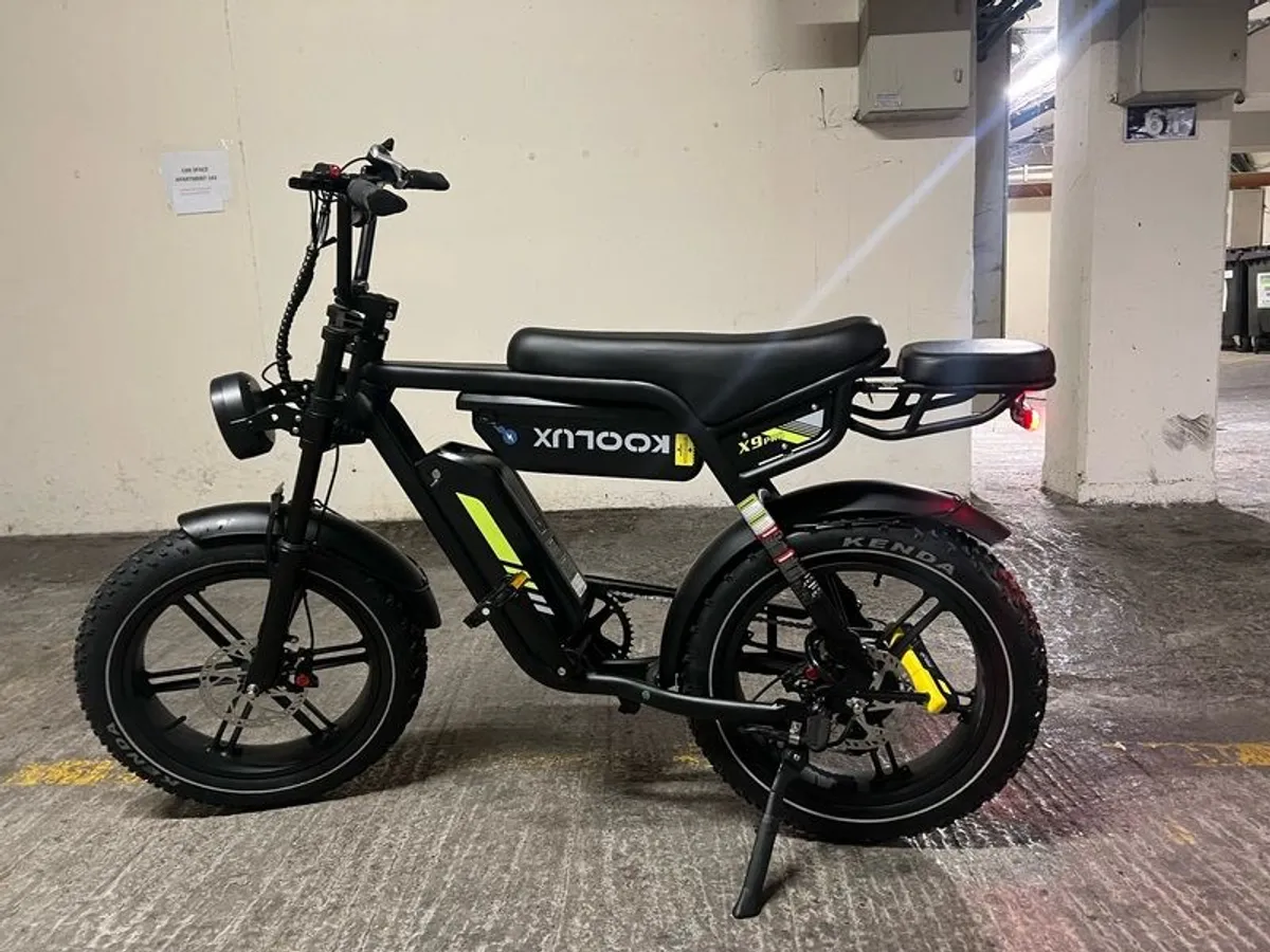 Delivery ebike - Image 1