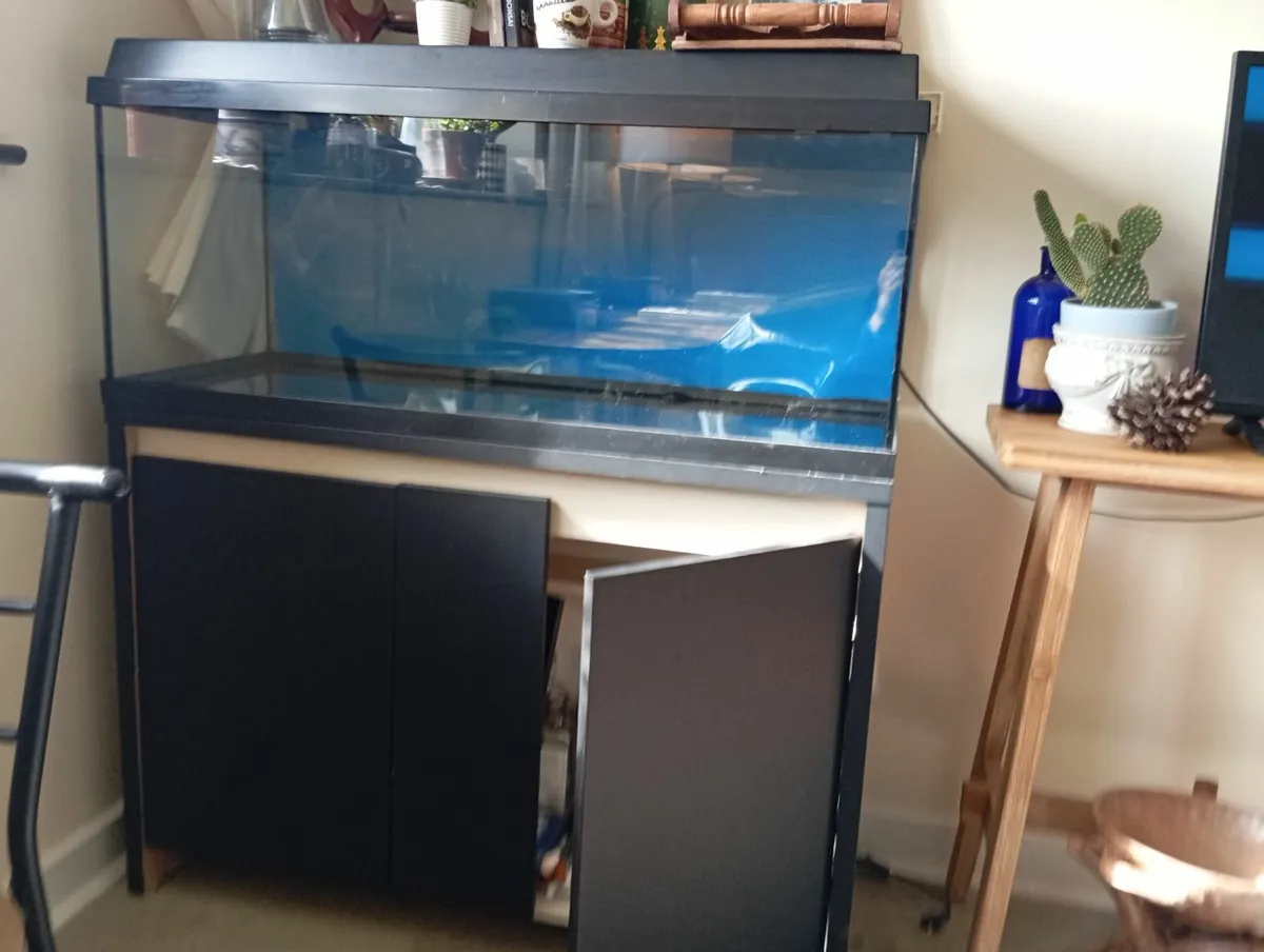 Aquarium - Image 2