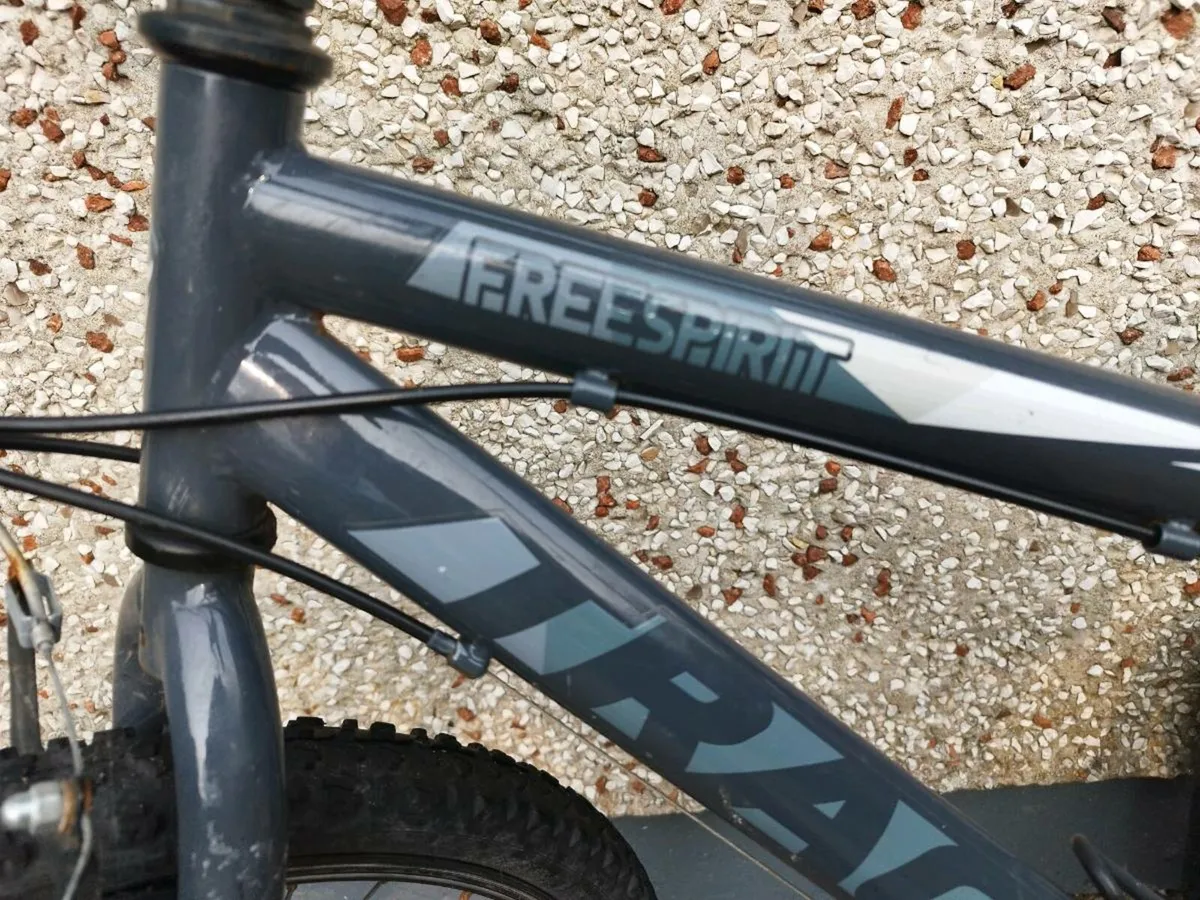 Boy's Mountain bike - Image 2