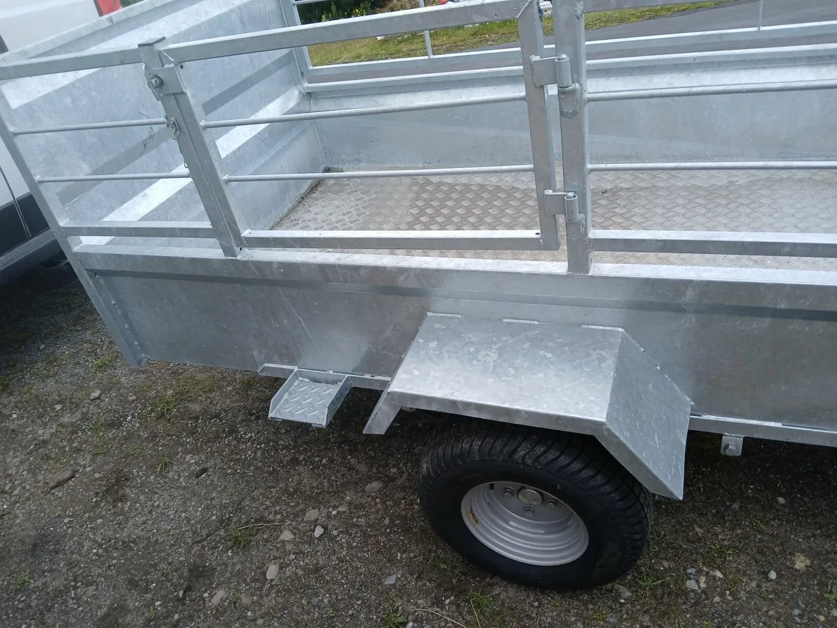 Trailer new ,sheep,& quad ,ramp door delivered - Image 4