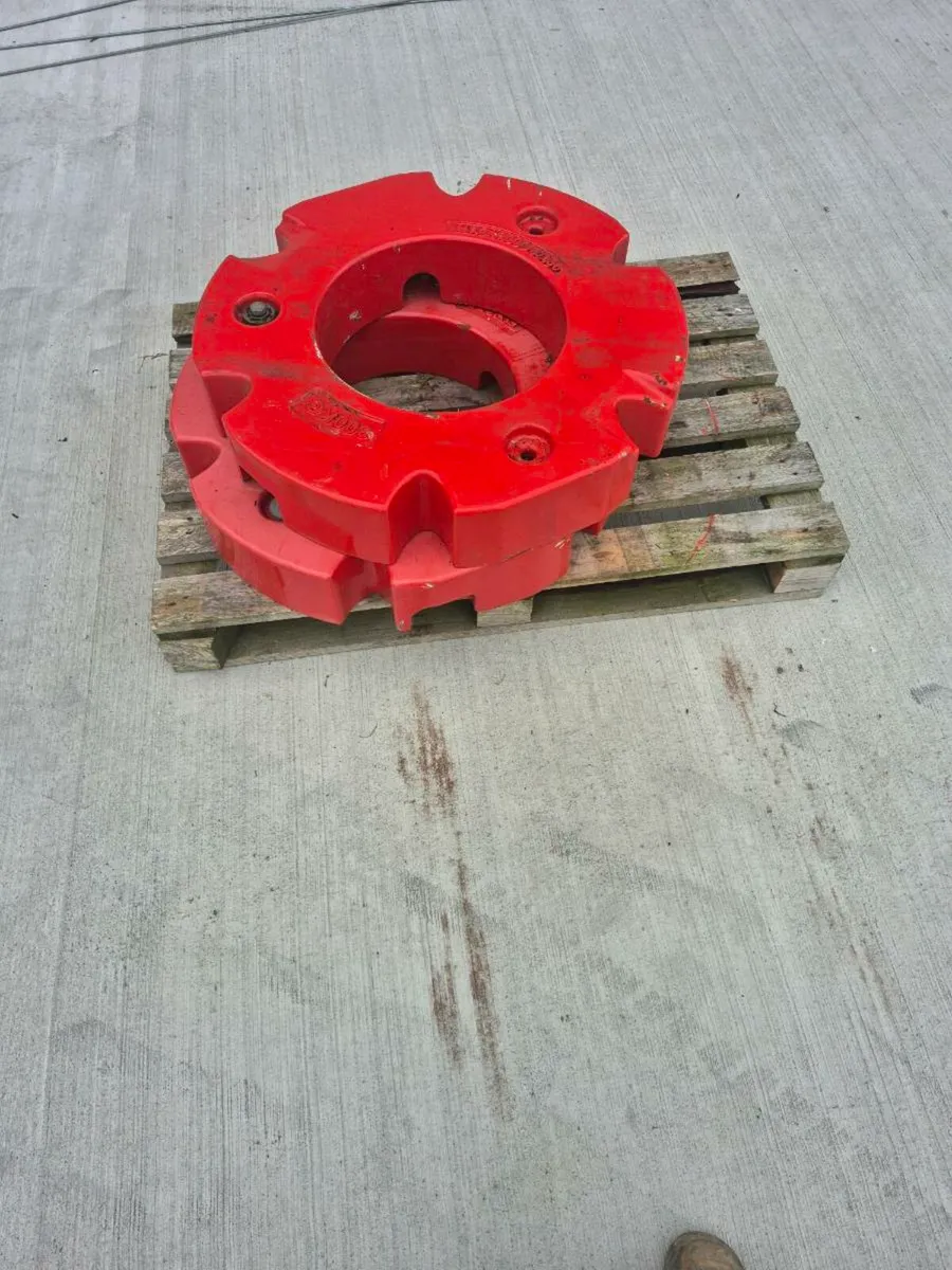 Fendt  wheel weights - Image 1