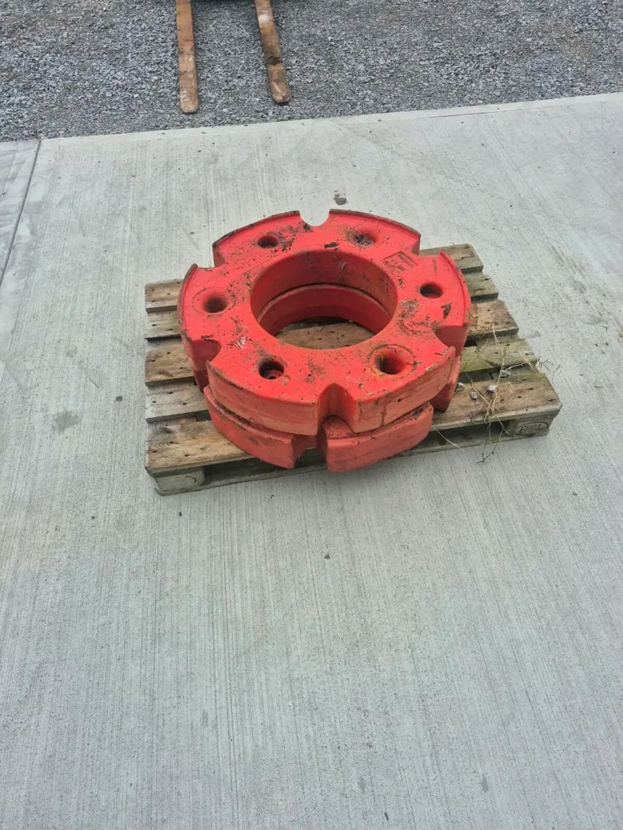 Fendt  wheel weights - Image 3