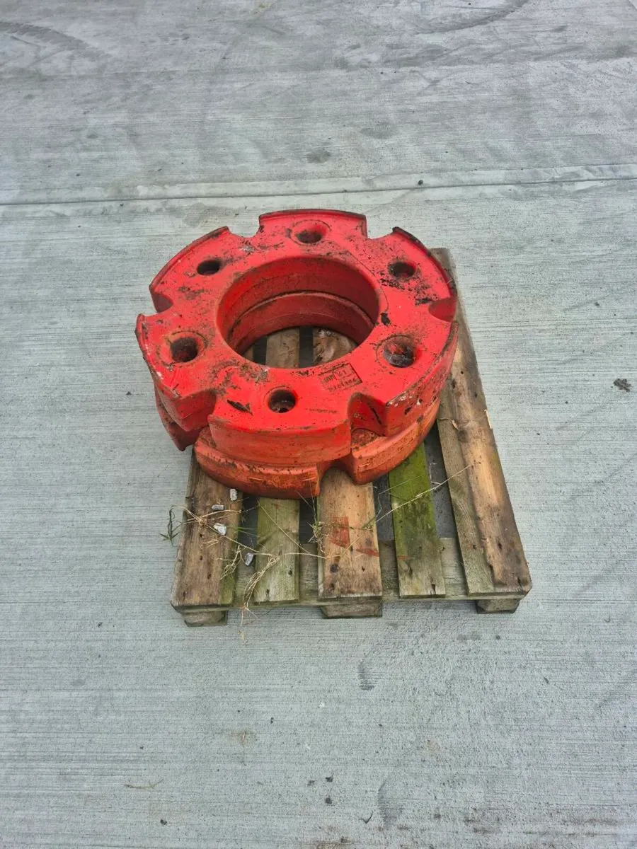Fendt  wheel weights - Image 4