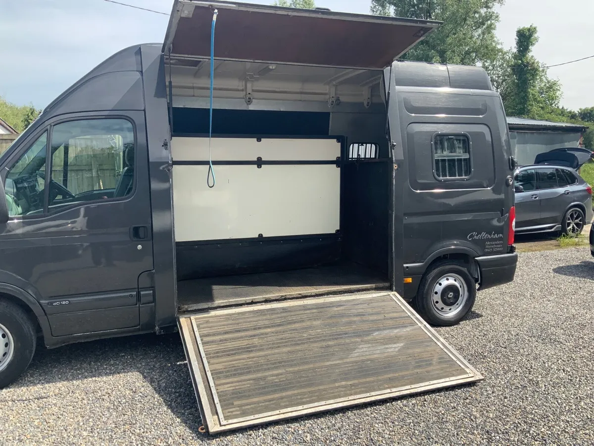 Renault Master Horsebox 🐎 on ( Car licence  ) . - Image 1