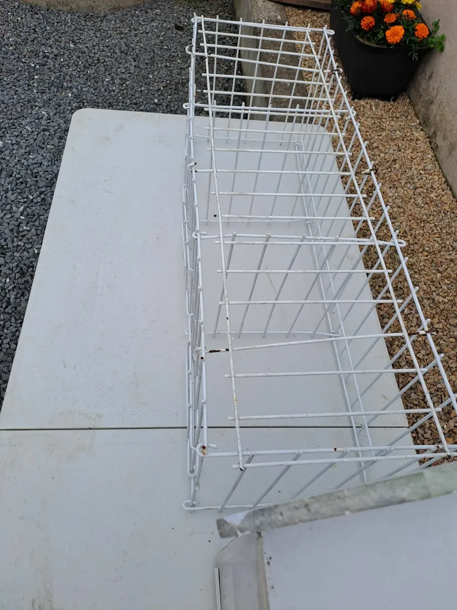 Pigeon  Equipment. - Image 1