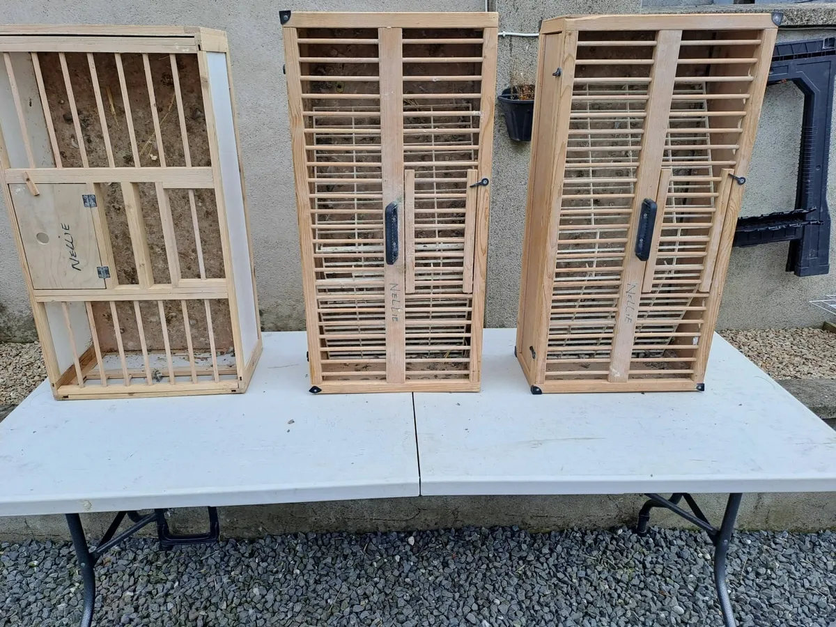 Pigeon  Equipment. - Image 2