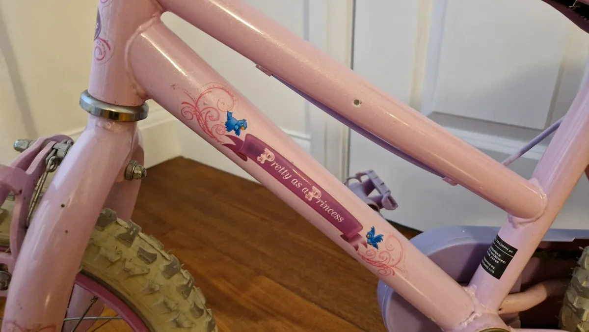 Bike with Doll Carrier - Image 3